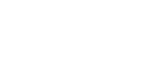 Bluesound logo